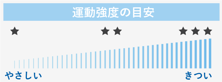運動強度の目安